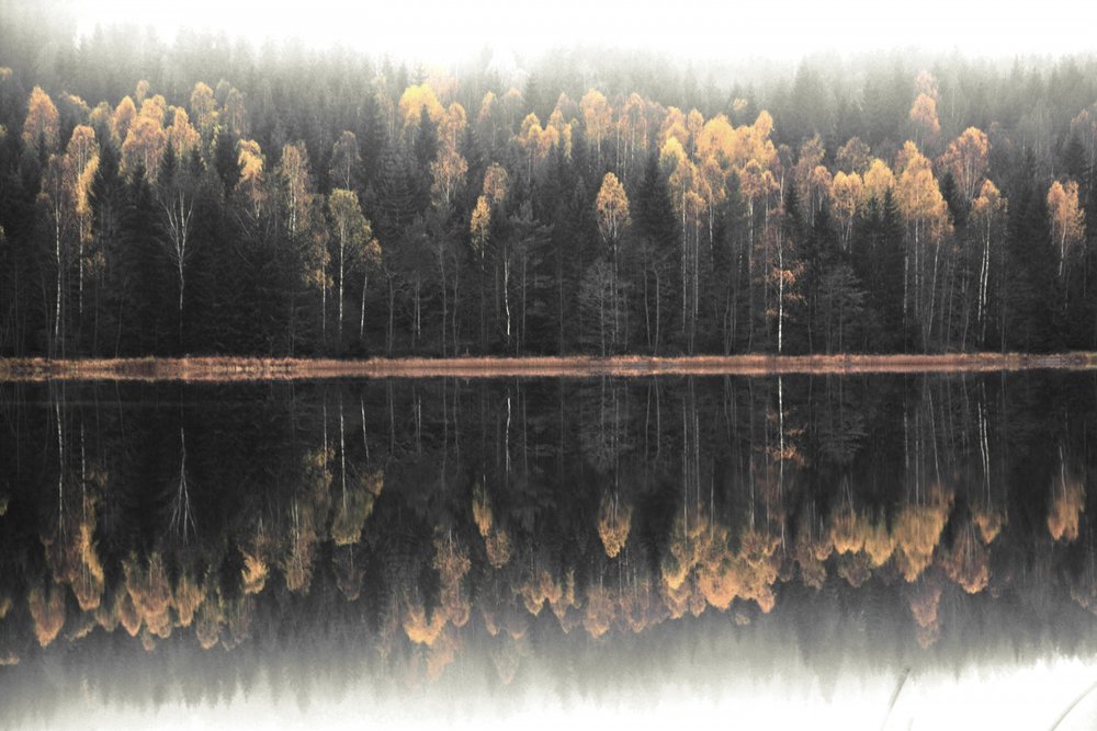 Mistige herfstweerspiegeling door Christina Sillen