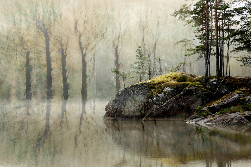 Misty Forest Lake door Christina Sillen