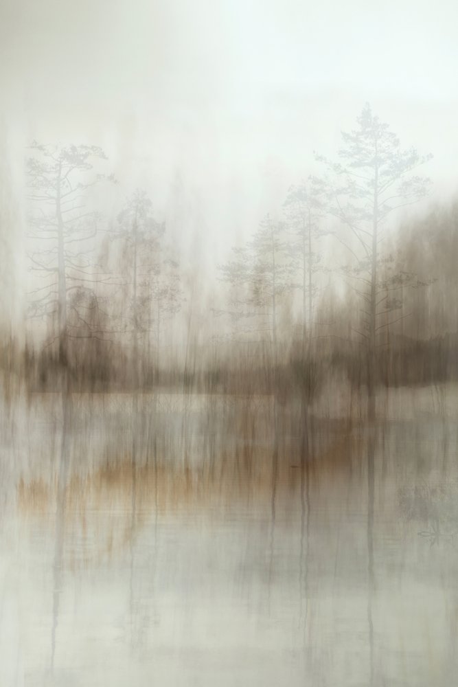 Weerspiegelingen in het mistige bos door Christina Sillen