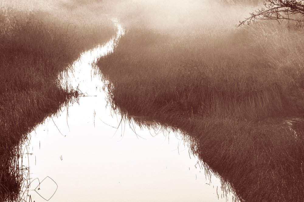 Misty River-pad door Christina Sillen