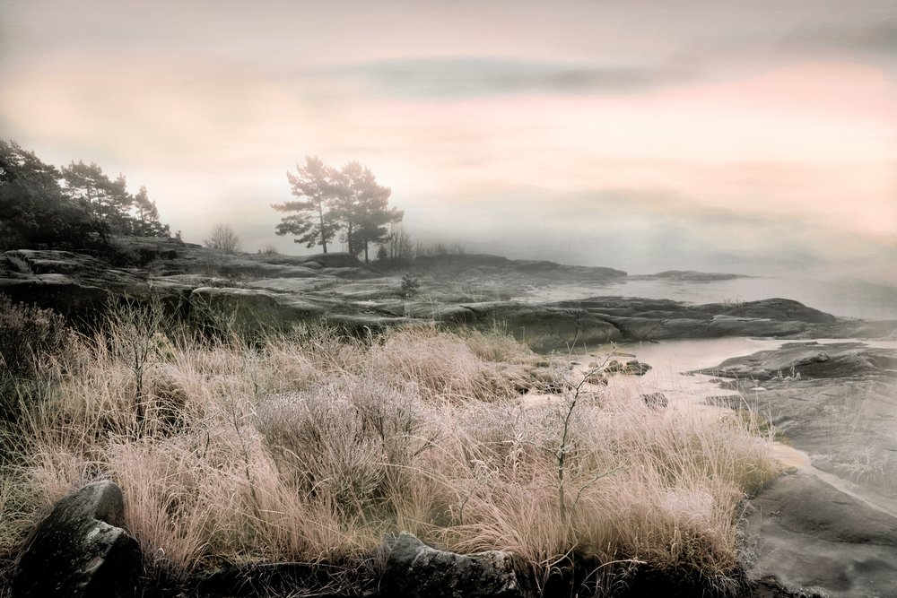  door Christina Sillen