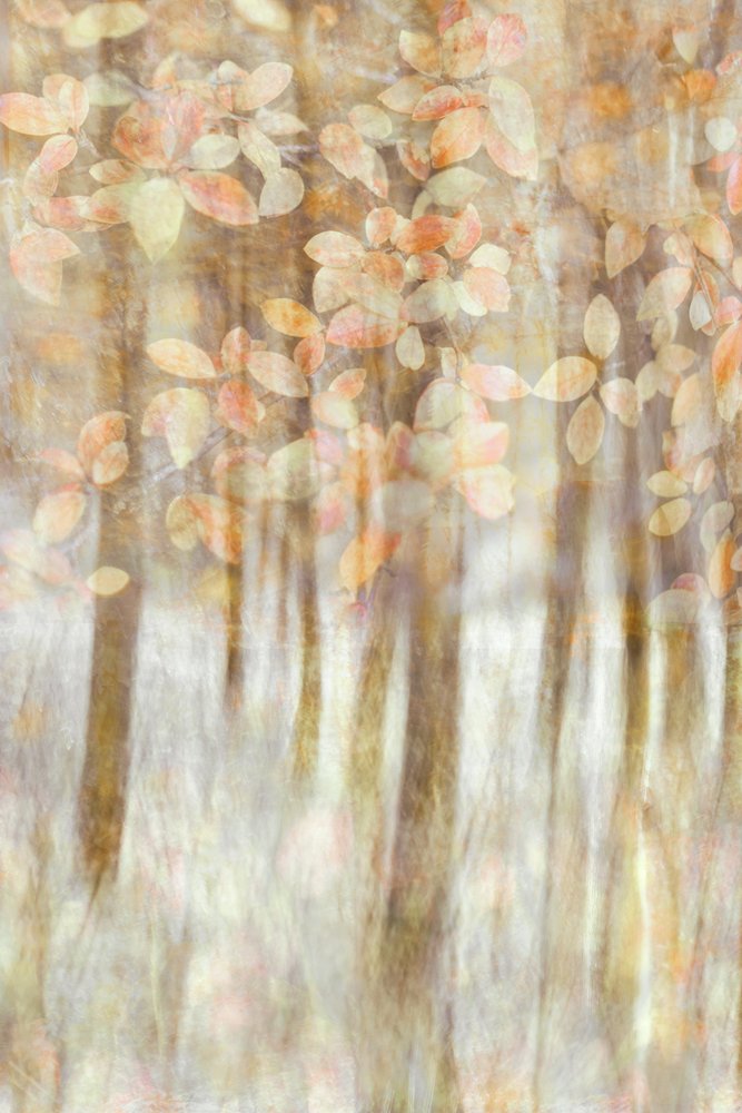 door Christina Sillen