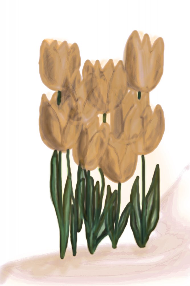 Zachtbeige tulpen door Christina Sillen