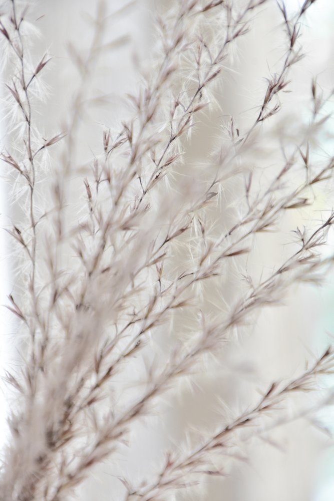 Zachte botanische rust door Christina Sillen