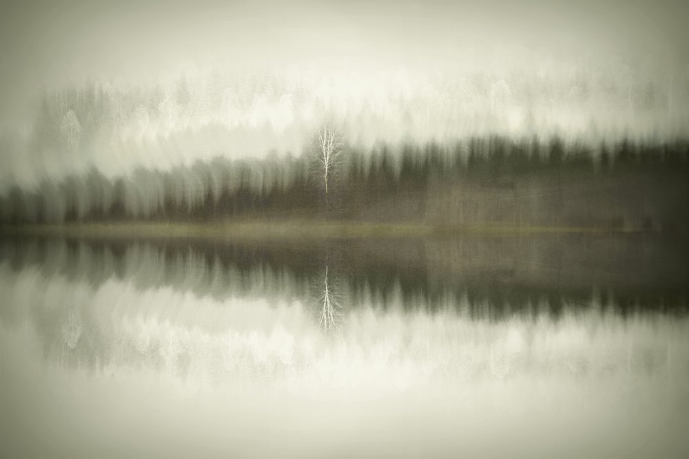  door Christina Sillen