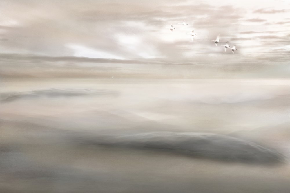 Laatste lied voor de mist door Christina Sillen