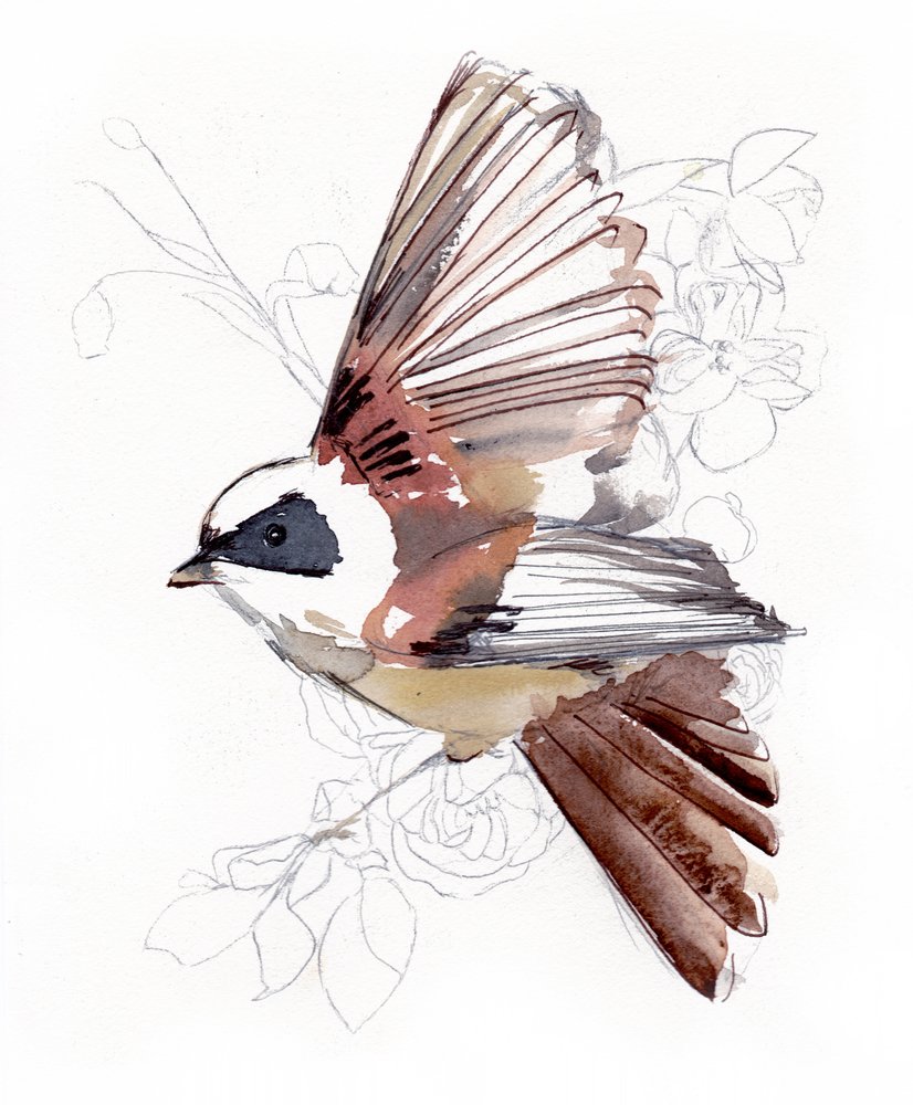Vliegende aquarelvogel door Christine Lindstrom