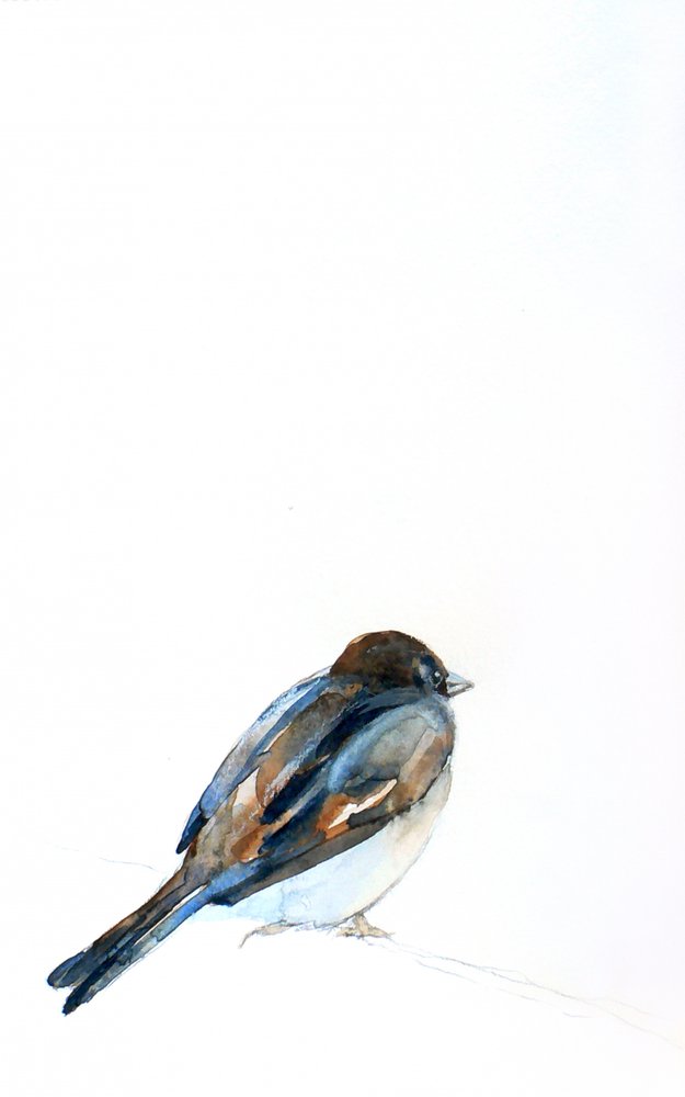 Aquarel van een zittende mus door Christine Lindstrom