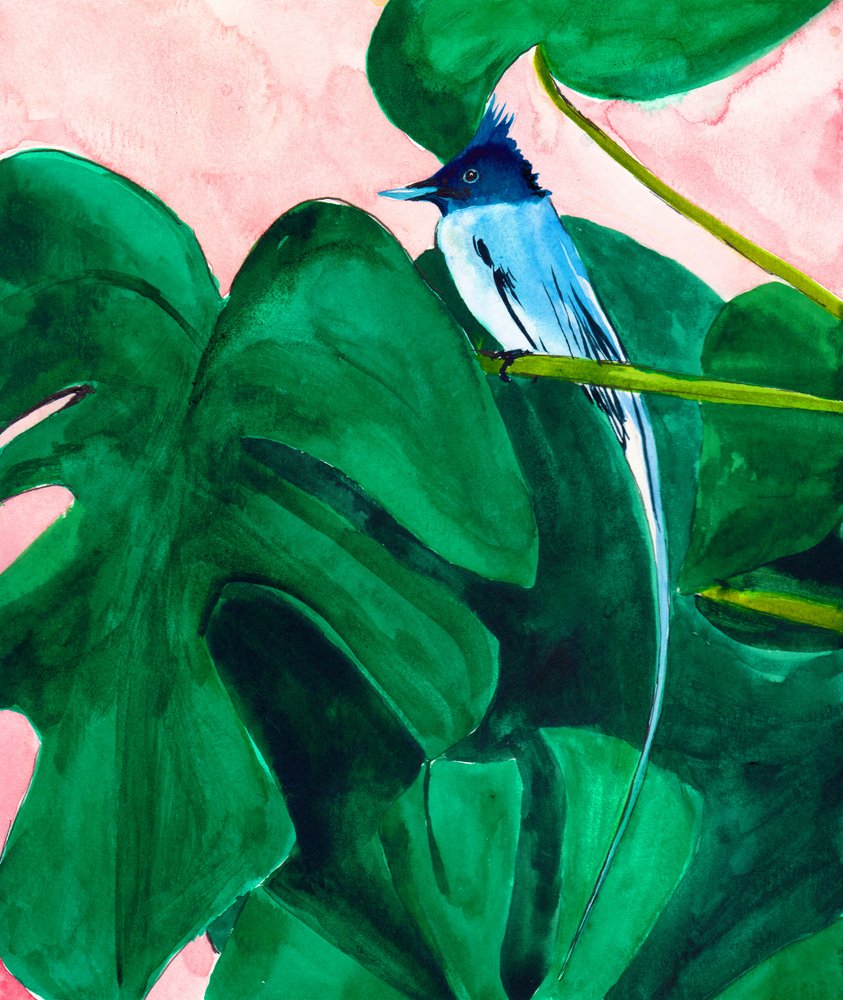 Tropische vogel op een Monstera-blad door Christine Lindstrom