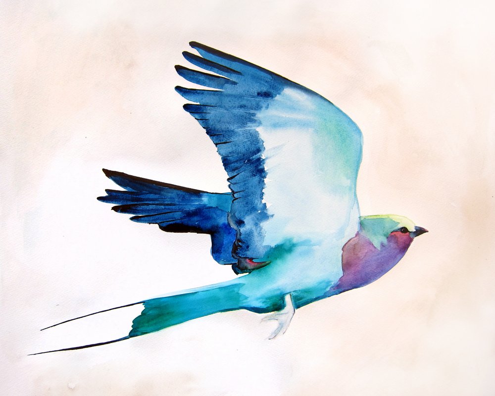 Levendige vogel in vlucht door Christine Lindstrom