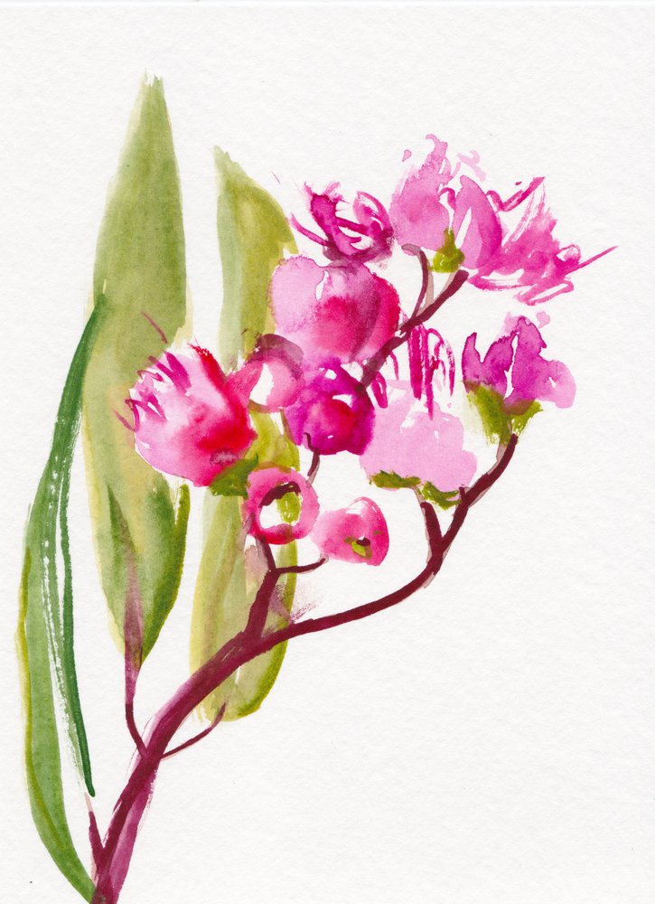 Levendige roze bloesems door Christine Lindstrom