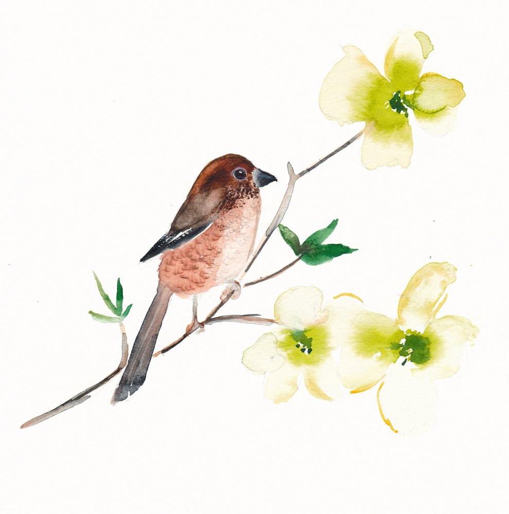 Aquarel: vogels en bloemen door Christine Lindstrom