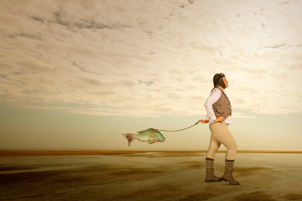 Aviator: De beste vis door Christine von Diepenbroek