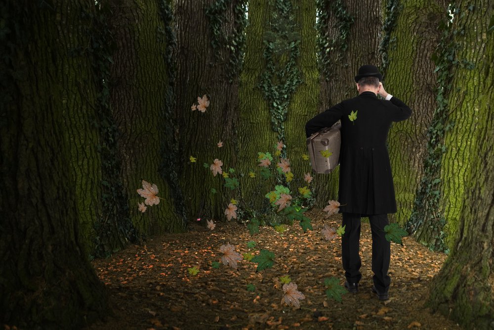 De reis van de man door het bos door Christine von Diepenbroek