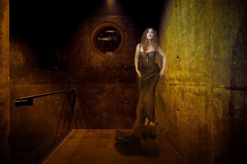  door Christine von Diepenbroek