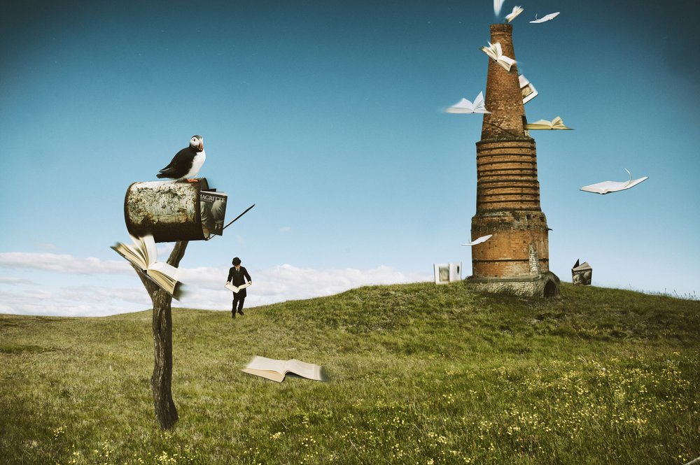 Puffin Flying Books door Christine von Diepenbroek