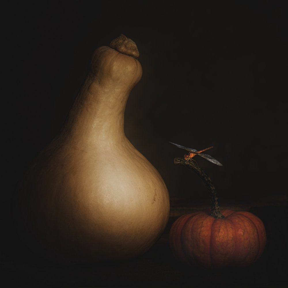 Herfstpompoen en libel door Cicek Kiral