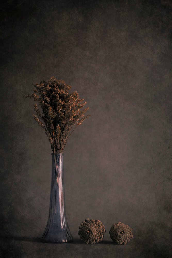 Stilleven met gedroogde planten door Cicek Kiral