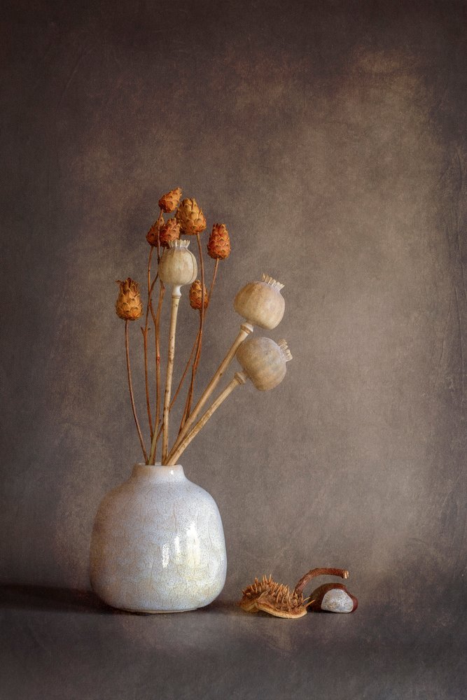 Stilleven met gedroogde papaver door Cicek Kiral