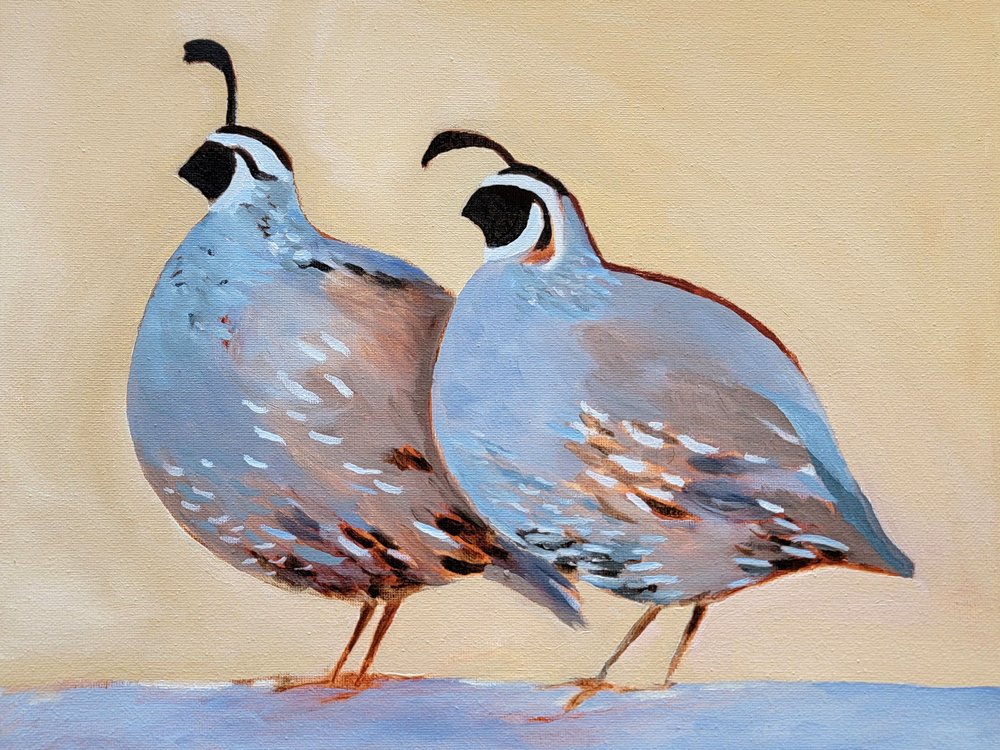 Charmant kwartelpaar door Claire Whitehead