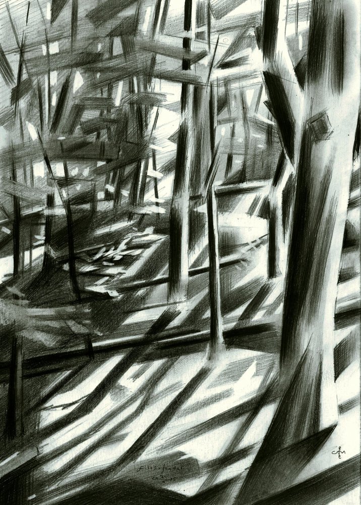 Abstracte bosschaduwen door Corné Akkers