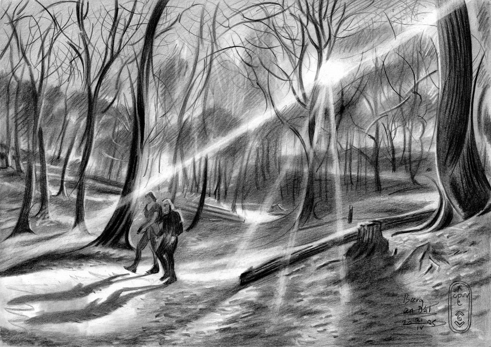 Een hoopvolle tocht door het bos door Corné Akkers