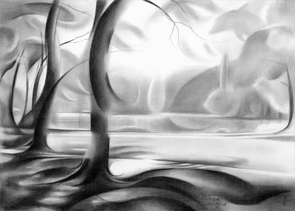 Weerspiegeling in het mystieke bos door Corné Akkers