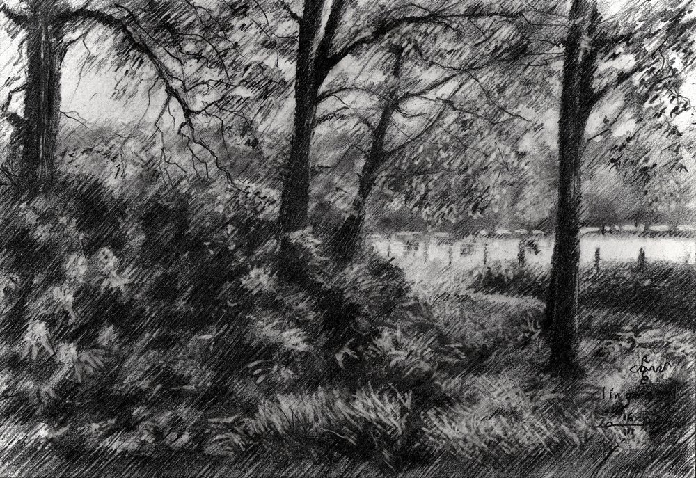Het vredige Forest Lake door Corné Akkers