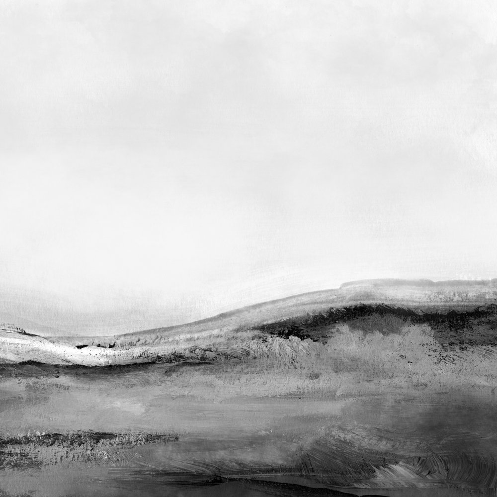 Mono Landschap nr. 2 door Dan Hobday
