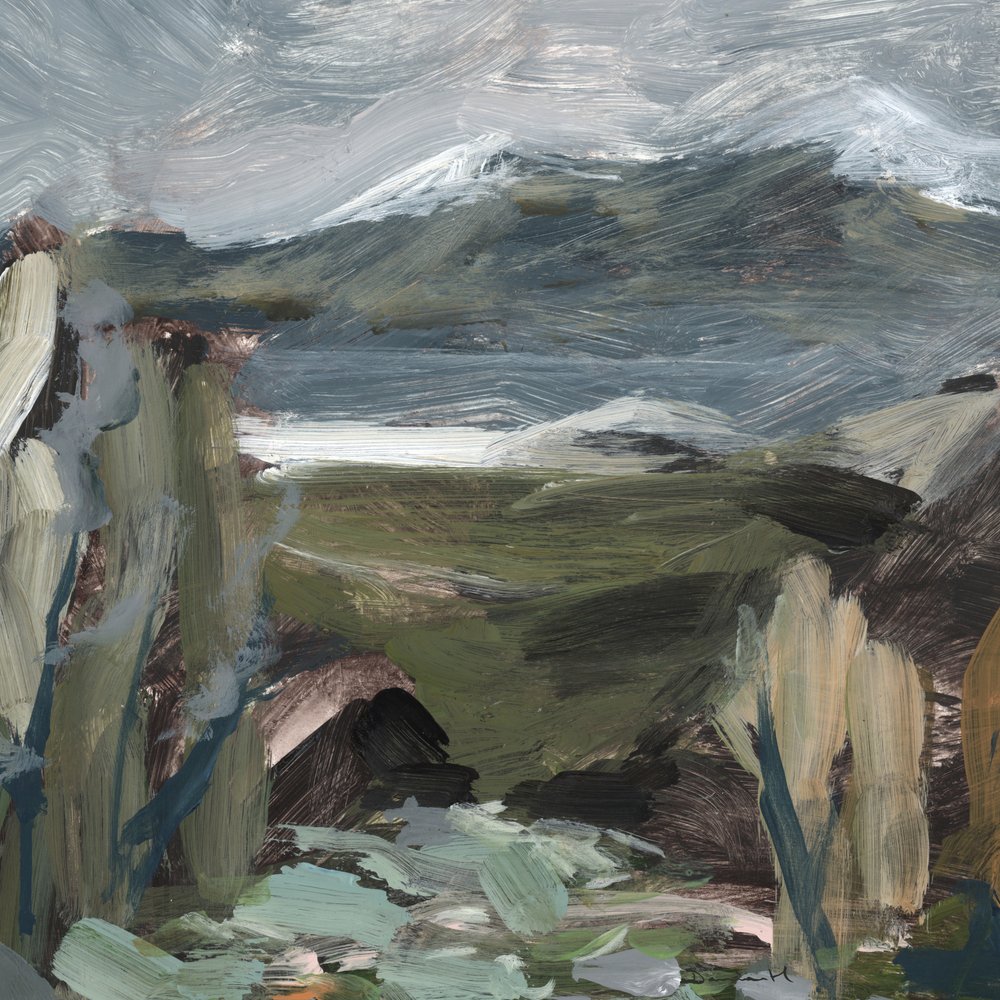 Zwitsers uitzicht door Dan Hobday