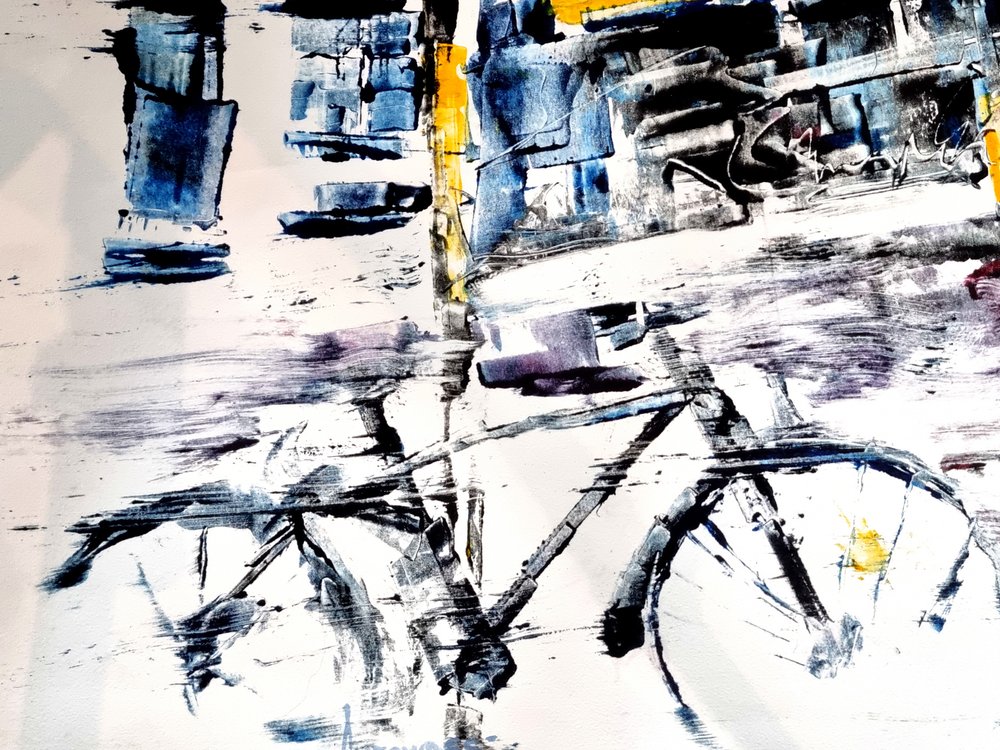Samenvatting: Stadsfietsen door David Antonides