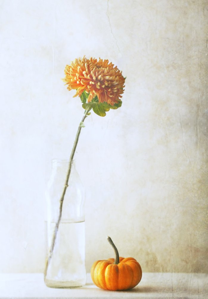  door Delphine Devos
