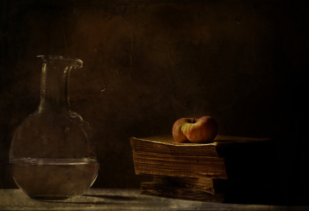  door Delphine Devos