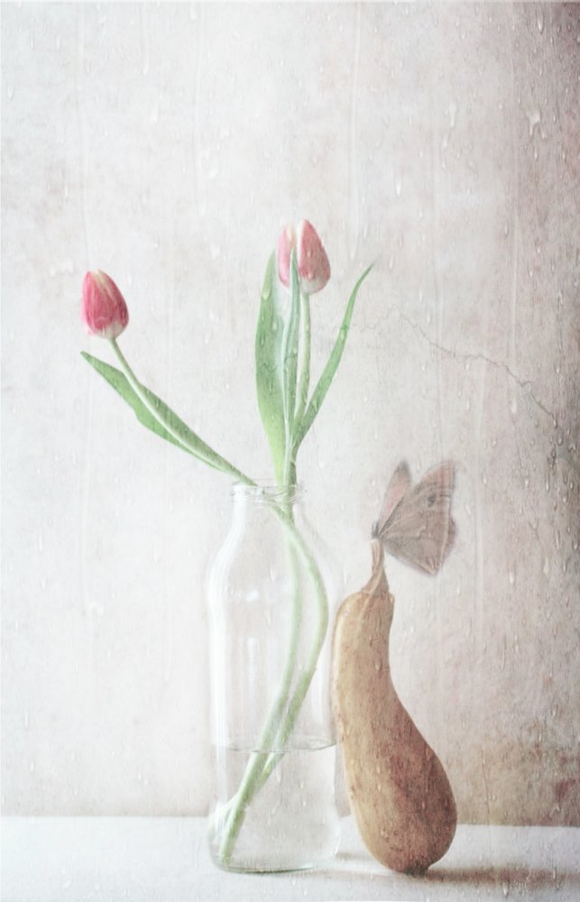  door Delphine Devos