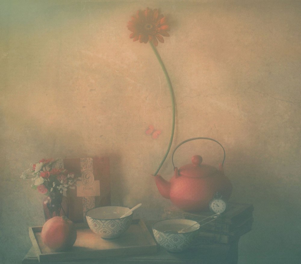  door Delphine Devos