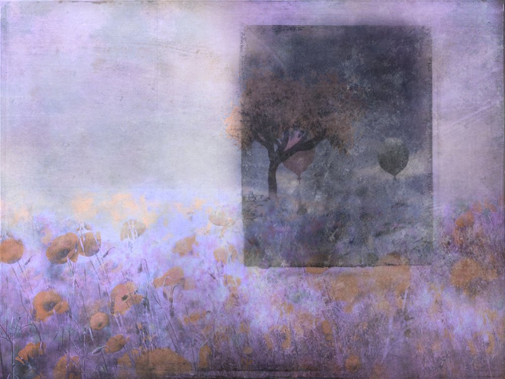  door Delphine Devos