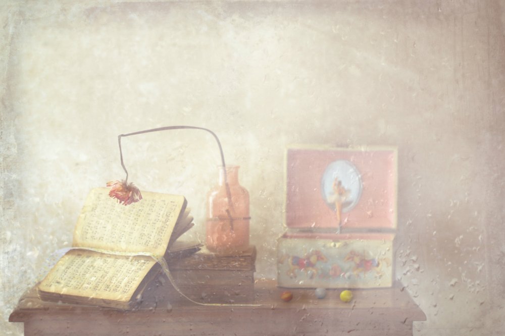  door Delphine Devos