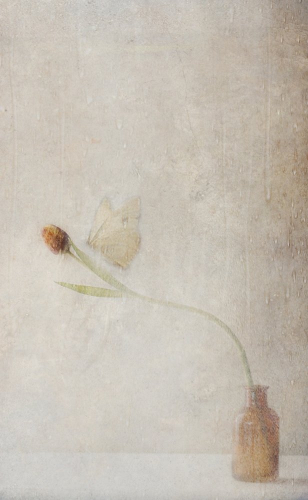  door Delphine Devos