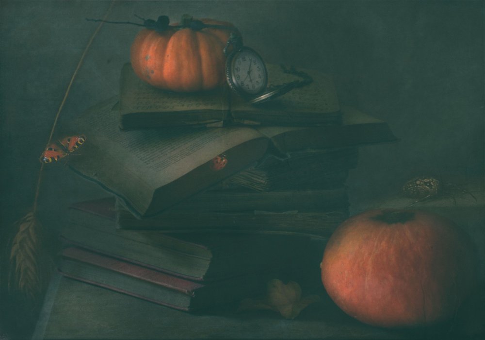  door Delphine Devos