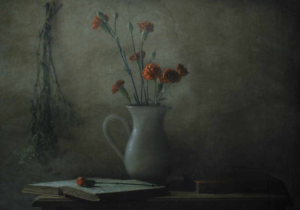 door Delphine Devos