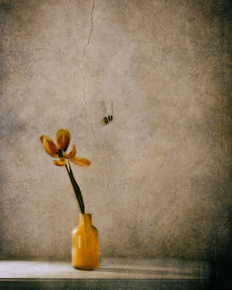  door Delphine Devos