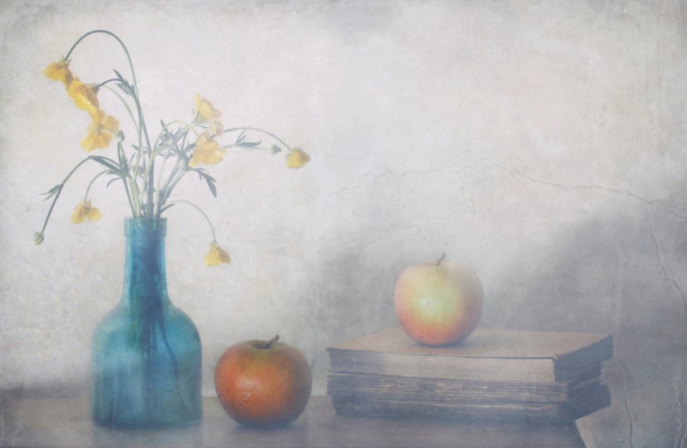  door Delphine Devos