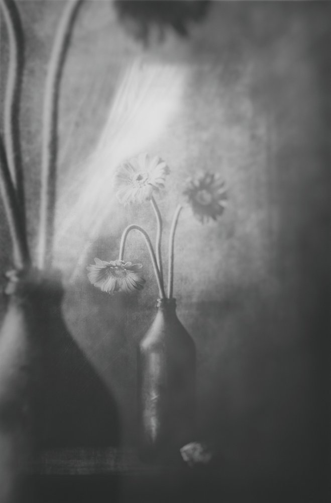  door Delphine Devos