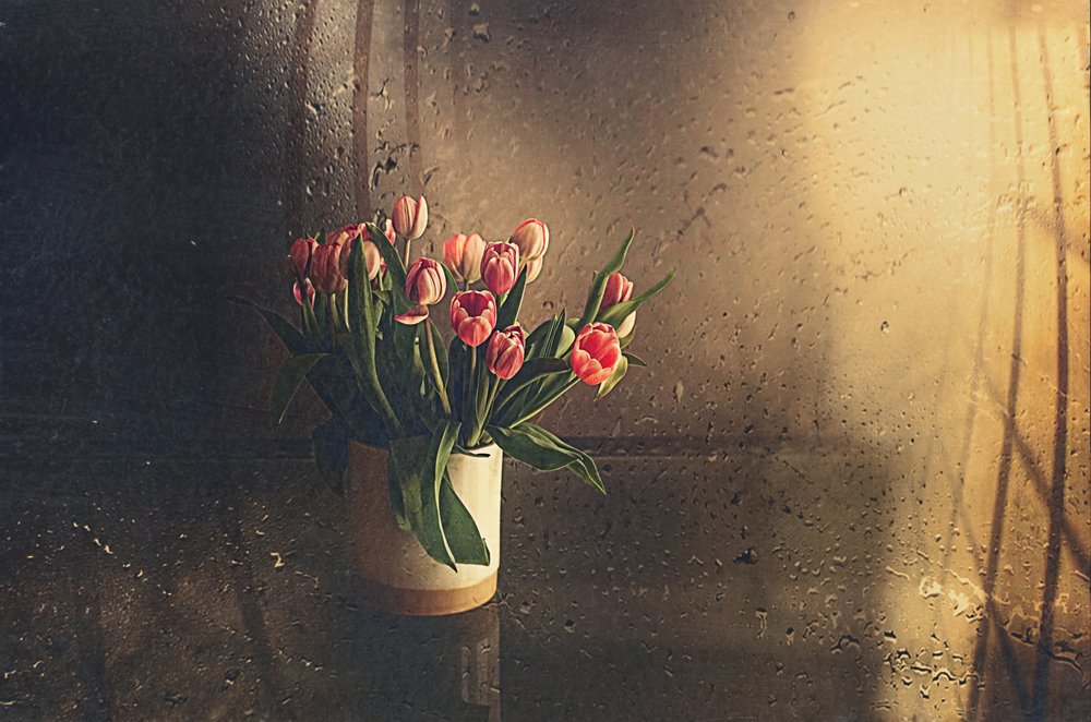 Roze tulpen in ochtendlicht door Desislava Ignatova
