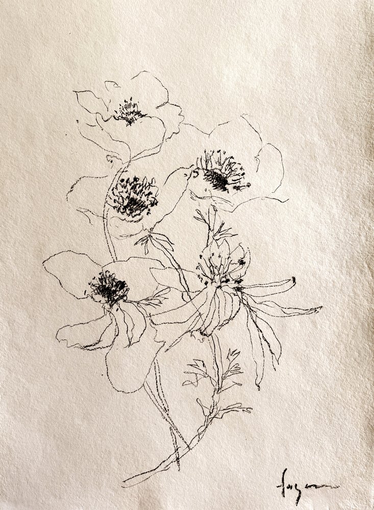 Verfijnde bloemenschets door Dorothy Fagan