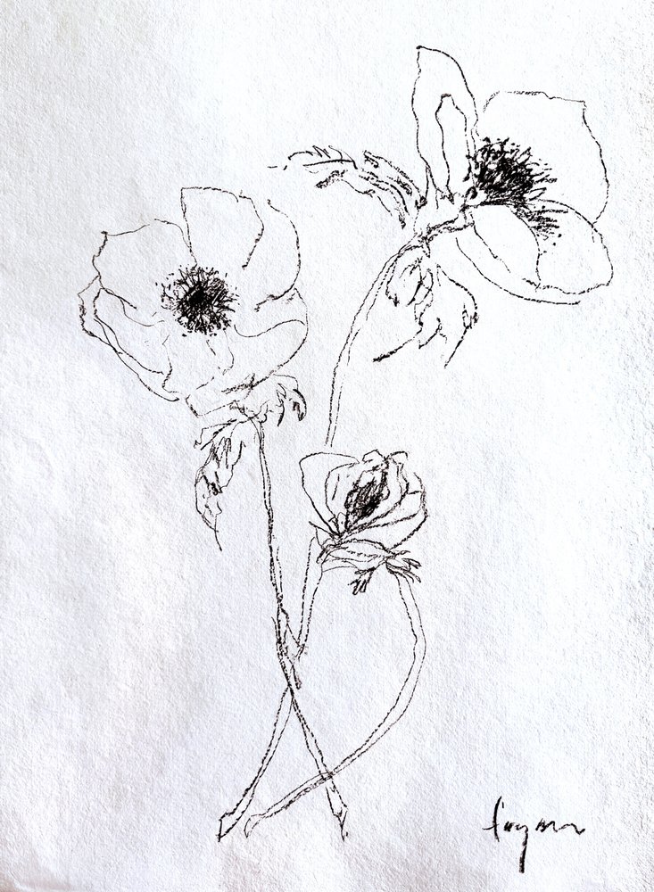 Fijne bloemenschets door Dorothy Fagan