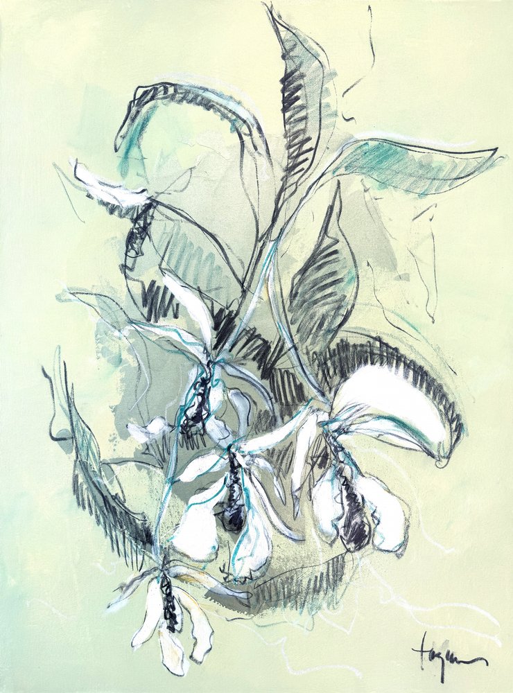 Fijne schets van een orchidee door Dorothy Fagan