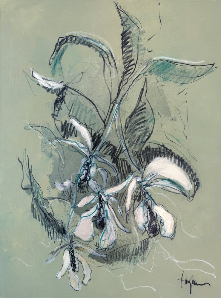 Elegante orchidee-schets door Dorothy Fagan