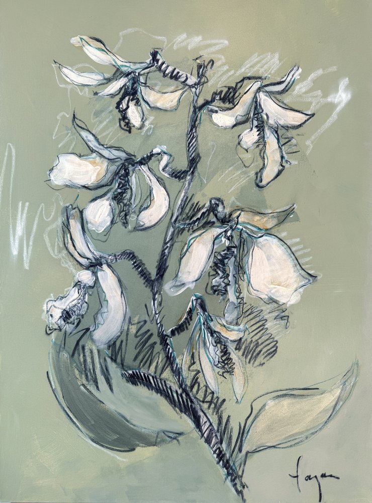 Witte bloemenschets door Dorothy Fagan