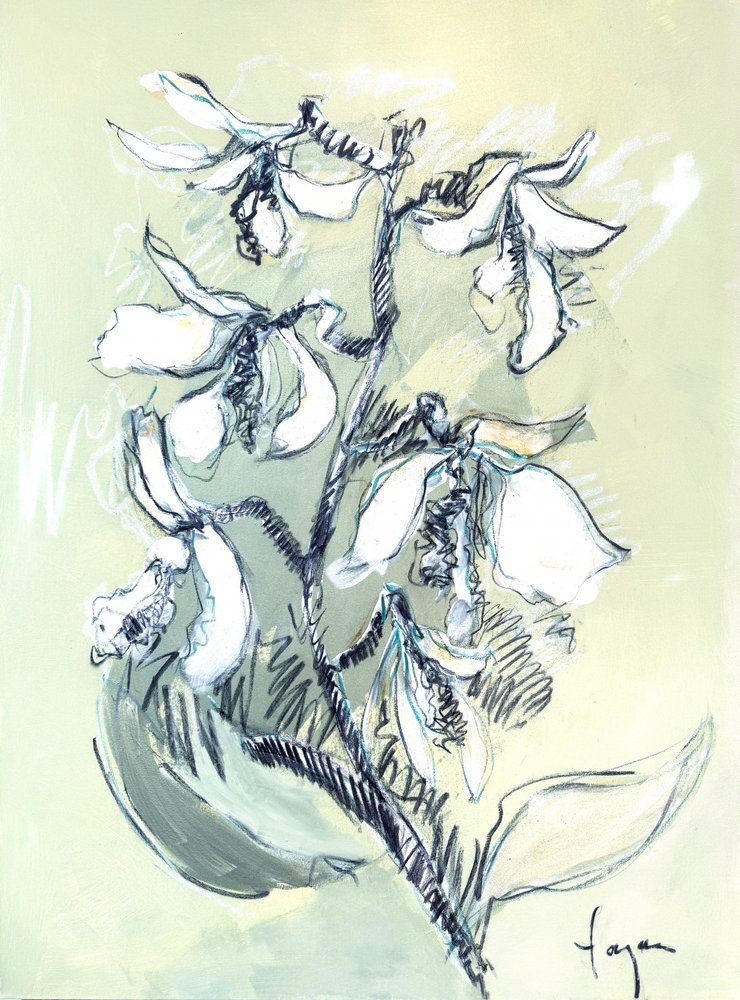 Witte bloemenschets door Dorothy Fagan